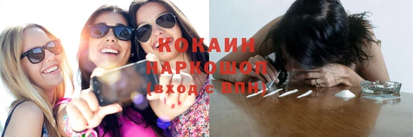 гидра Ахтубинск