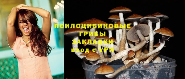 твердый Алзамай